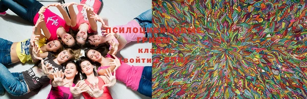 гашишное масло Корсаков