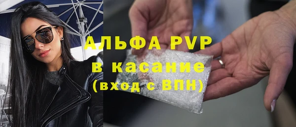 трава Коряжма