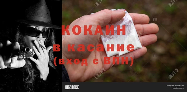 трава Коряжма