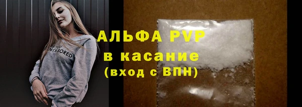 трава Коряжма