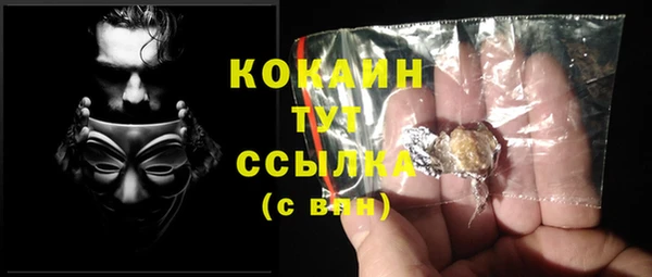 трава Коряжма