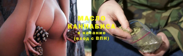 трава Коряжма