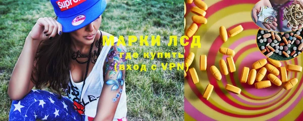 трава Коряжма