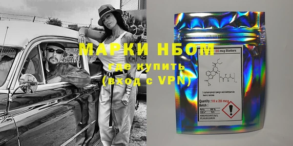 трава Коряжма