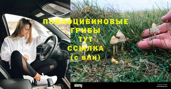 трава Коряжма