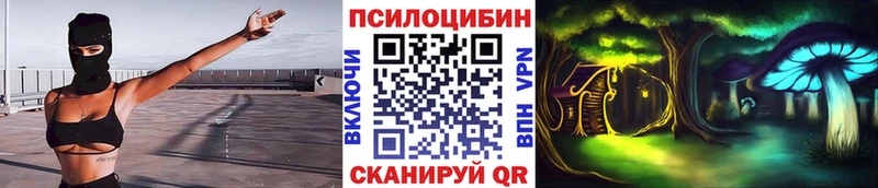 Псилоцибиновые грибы Cubensis  Хилок 