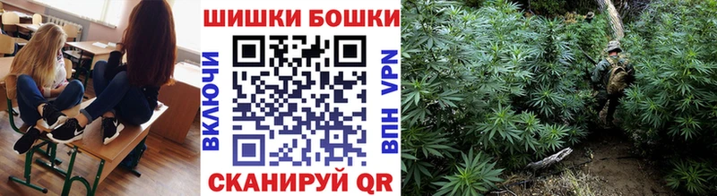Шишки марихуана AK-47  продажа наркотиков  Хилок 